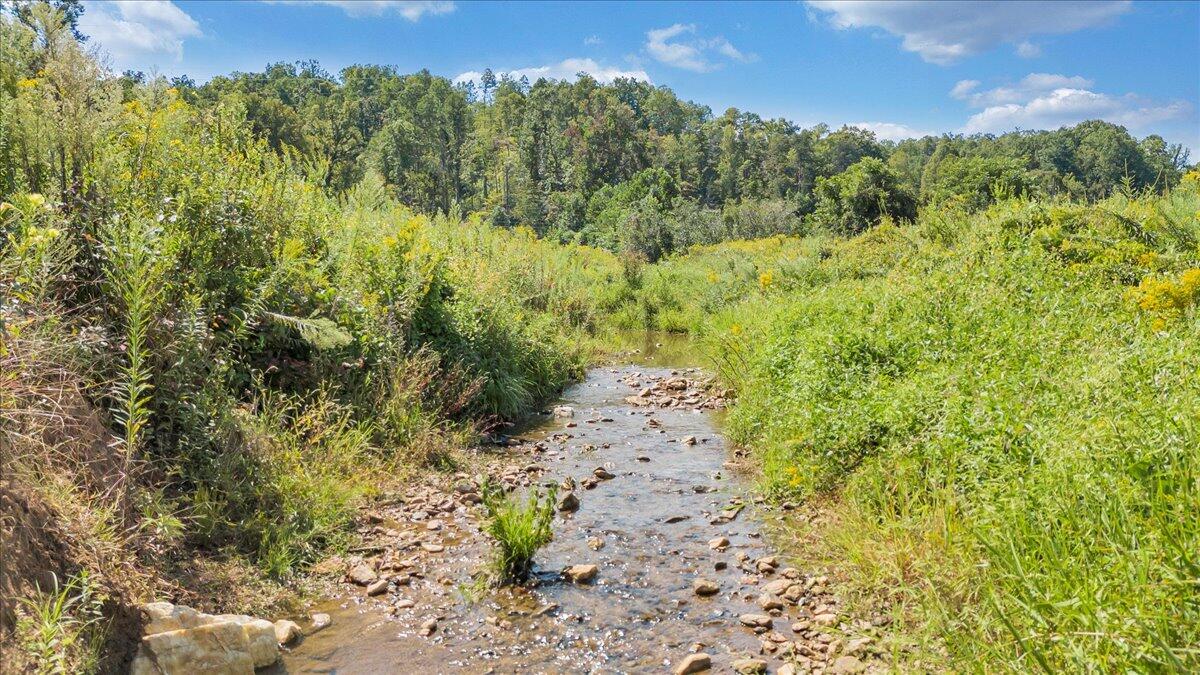 5741 Providence Church Road Ferrum, VA 24088 - Photo 25 of 52 a view of a yard with a tree