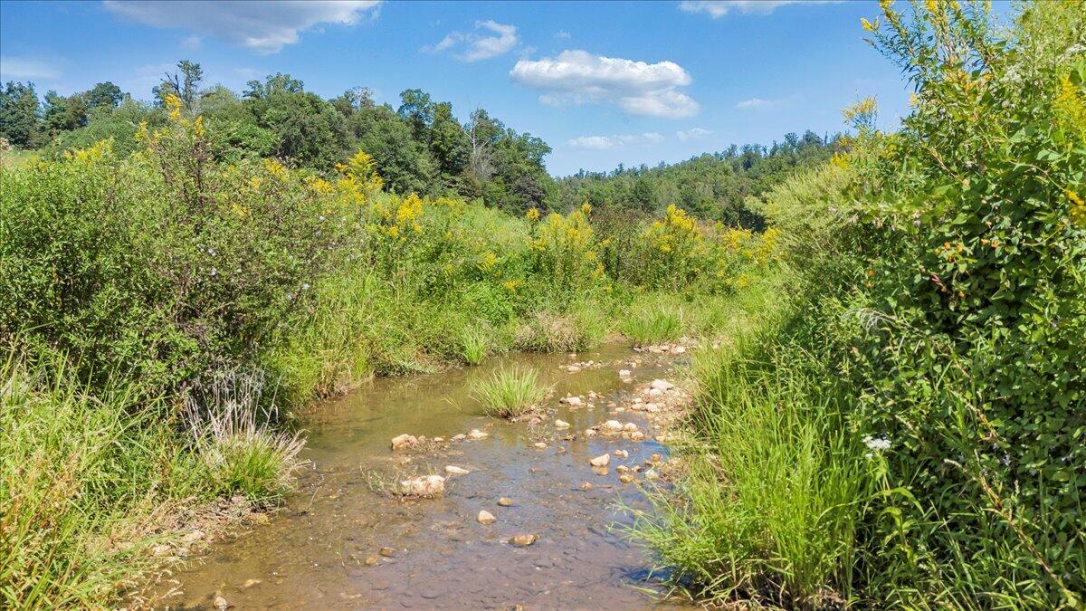 5741 Providence Church Road Ferrum, VA 24088 - Photo 26 of 52 a view of a lake in a forest