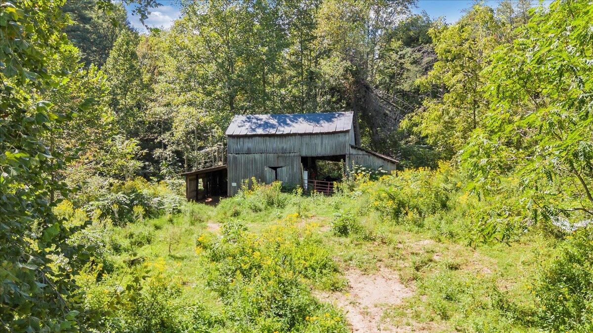 5741 Providence Church Road Ferrum, VA 24088 - Photo 29 of 52 a backyard of a house with a tree