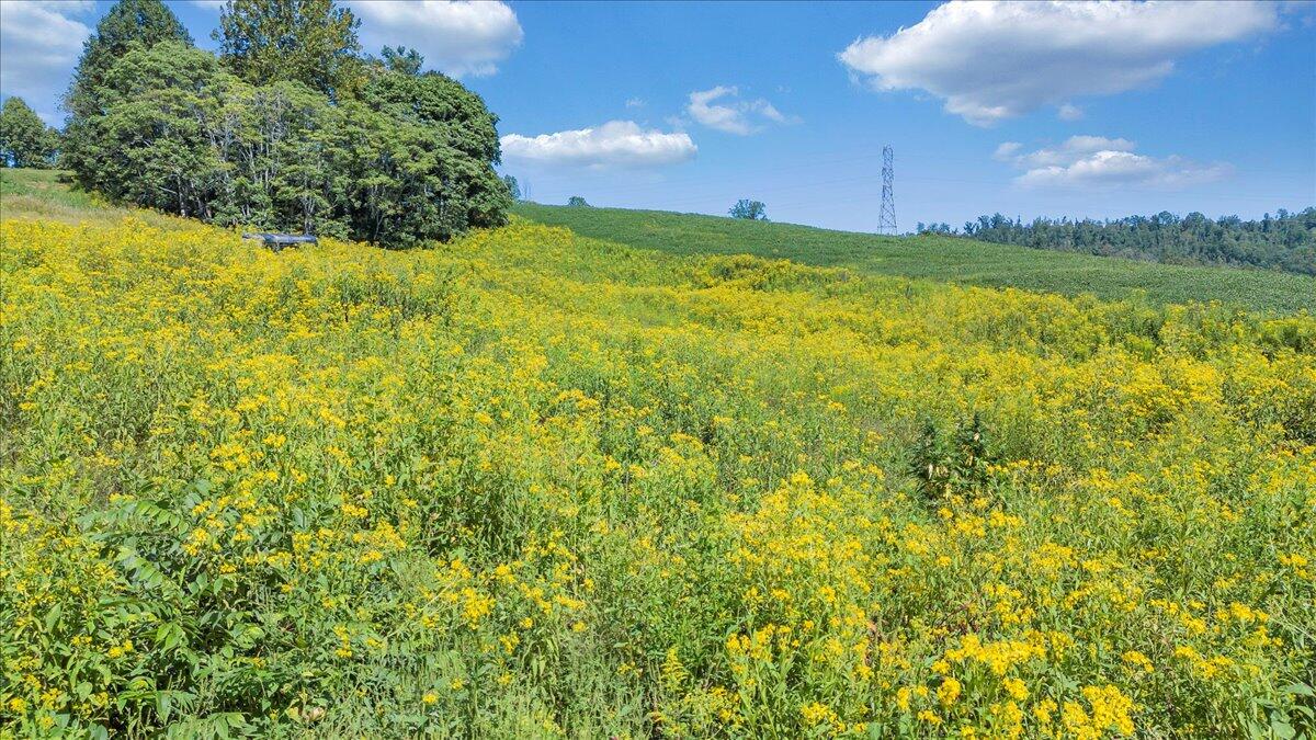 5741 Providence Church Road Ferrum, VA 24088 - Photo 34 of 52 a view of yard with swimming pool and green space