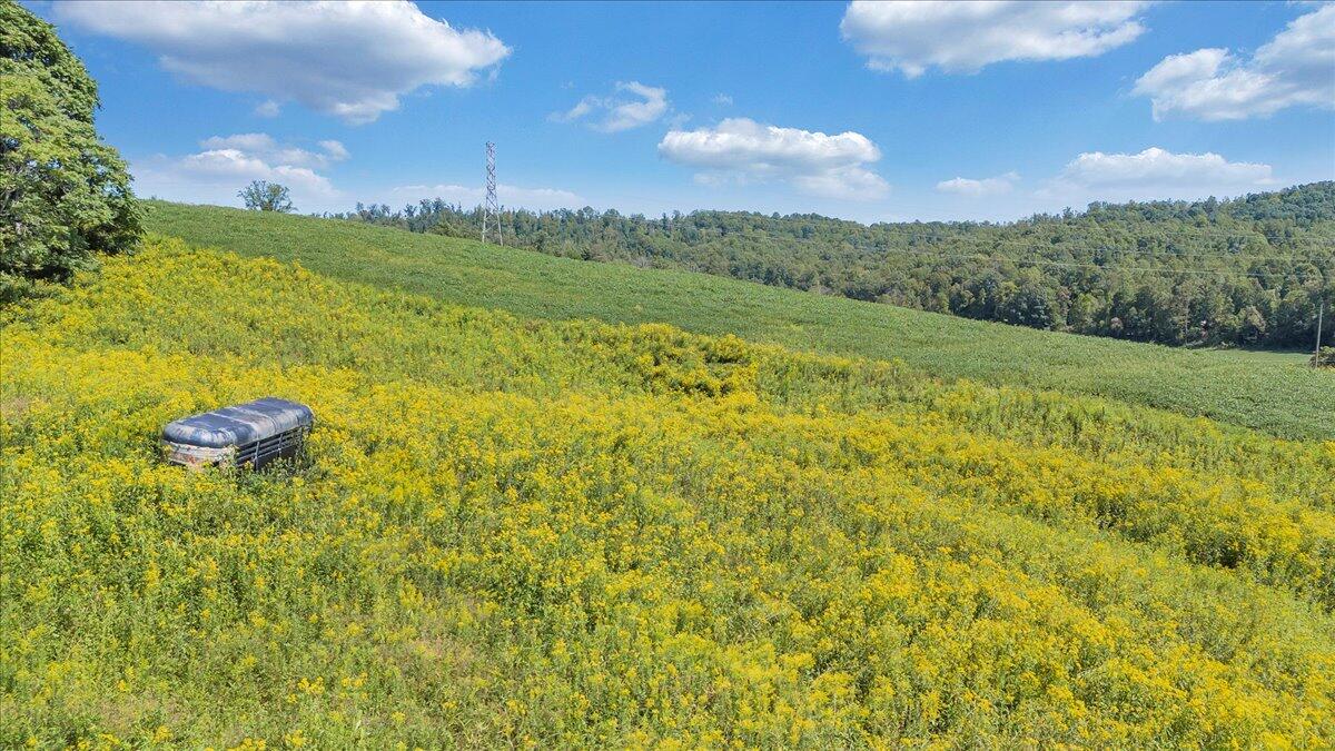 5741 Providence Church Road Ferrum, VA 24088 - Photo 35 of 52 a view of a lake with a yard