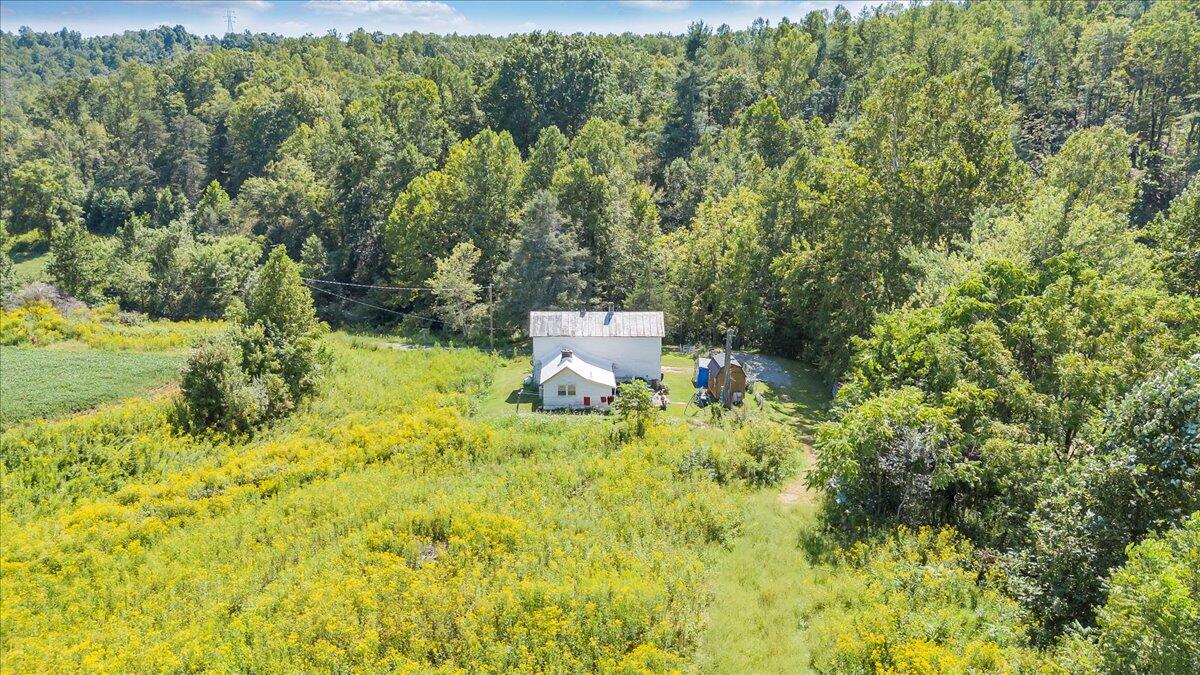 5741 Providence Church Road Ferrum, VA 24088 - Photo 38 of 52 a view of a yard with plants