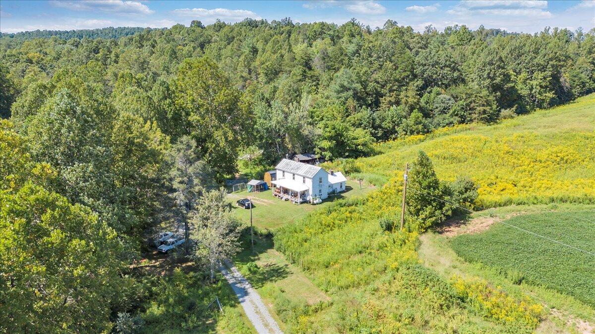 5741 Providence Church Road Ferrum, VA 24088 - Photo 39 of 52 a view of a trees in a yard