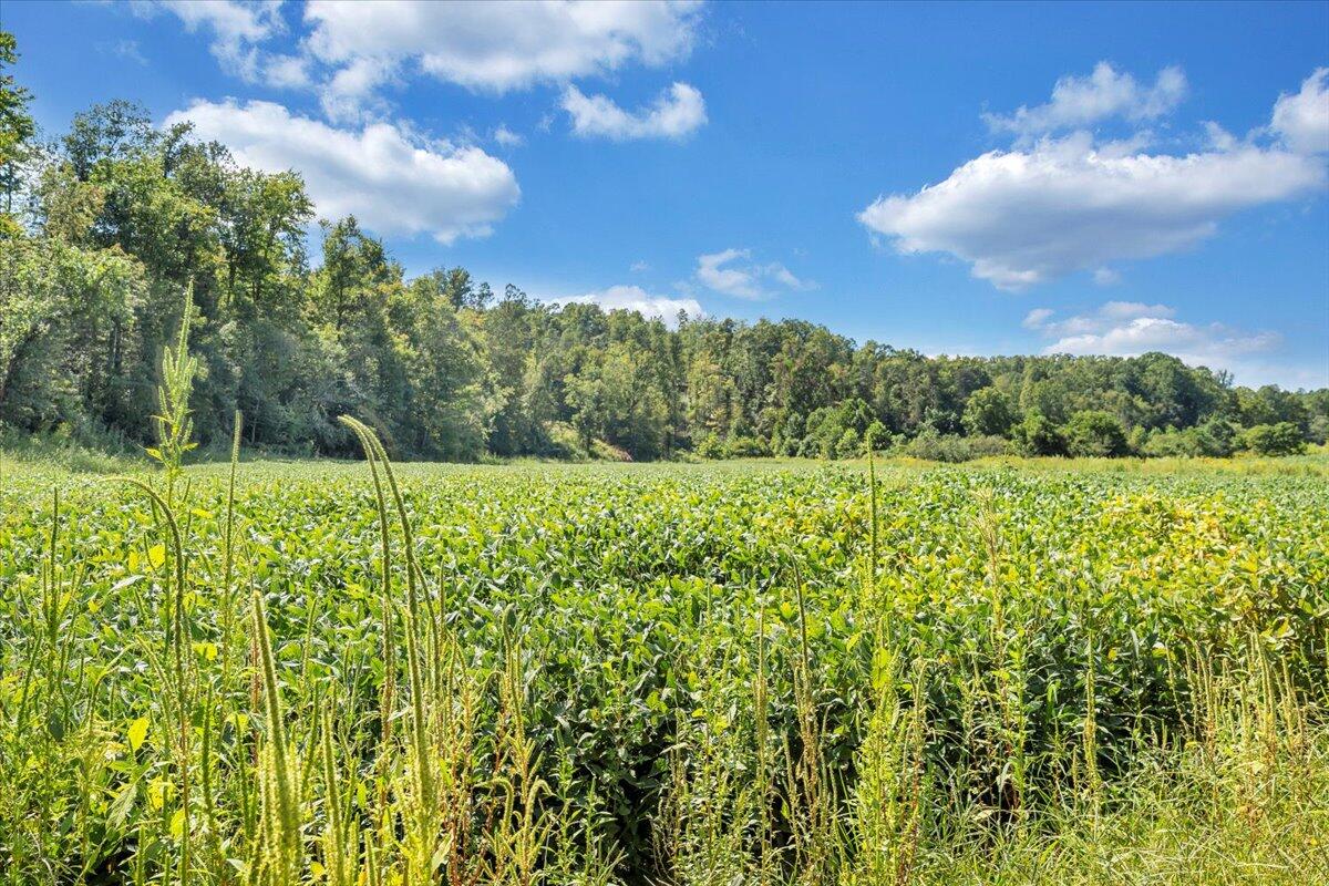 5741 Providence Church Road Ferrum, VA 24088 - Photo 41 of 52 a view of a building with green field