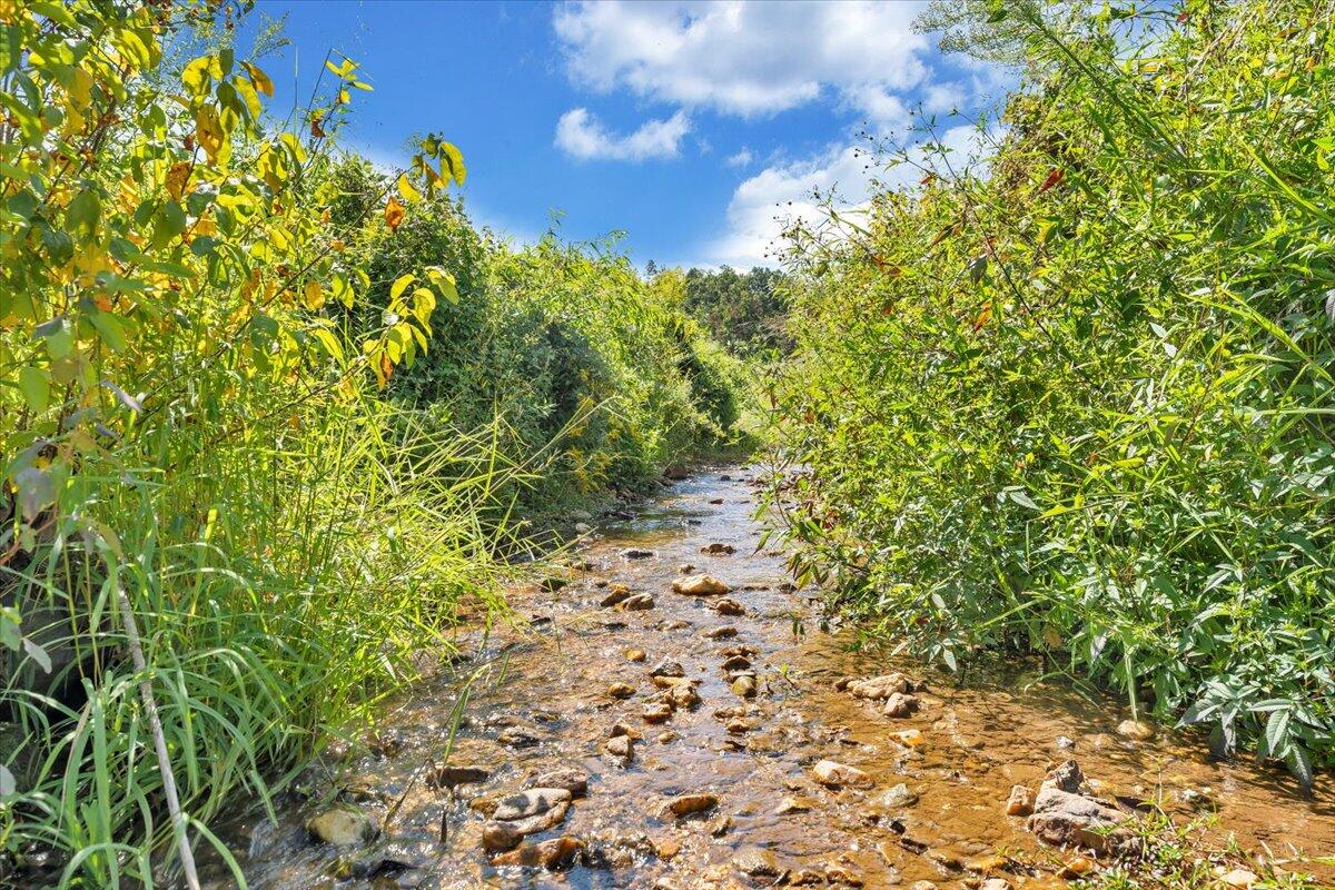 5741 Providence Church Road Ferrum, VA 24088 - Photo 43 of 52 a view of a yard with a tree