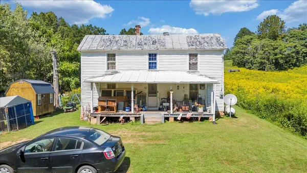 a view of a lush green forest