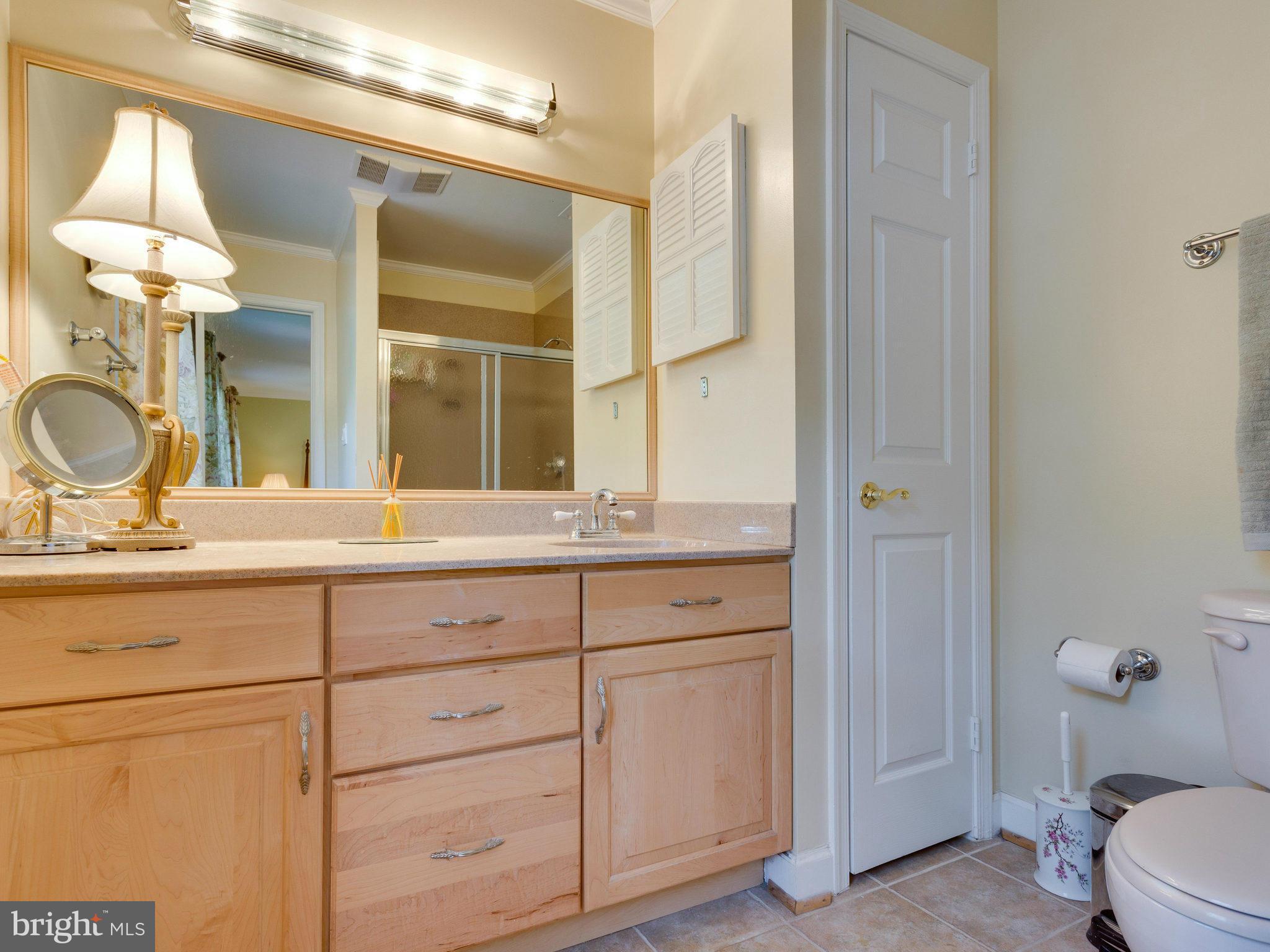 8141 Viola Street Springfield, VA 22152 - Photo 17 of 30 Bath (Master)