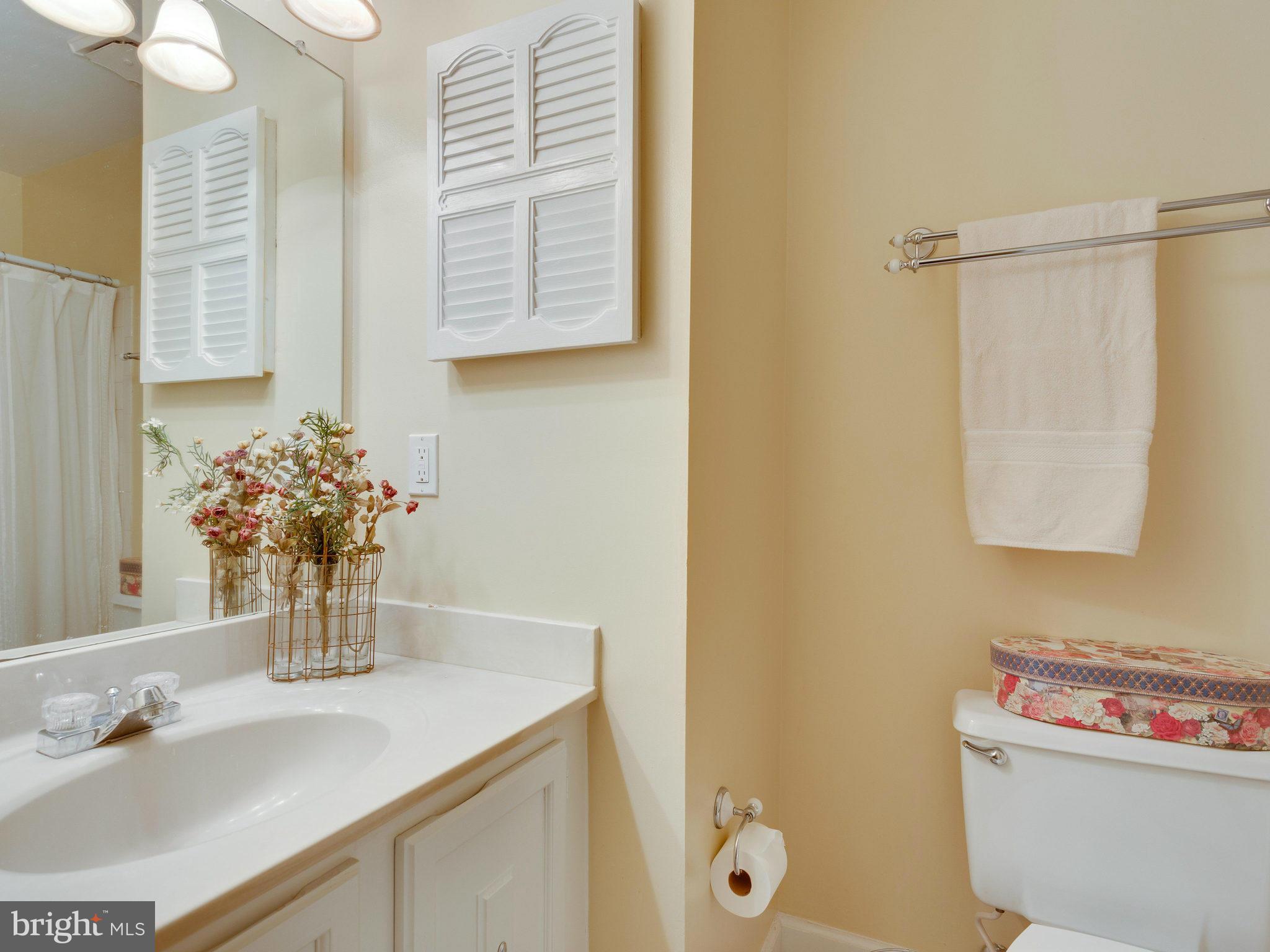 8141 Viola Street Springfield, VA 22152 - Photo 20 of 30 Bath