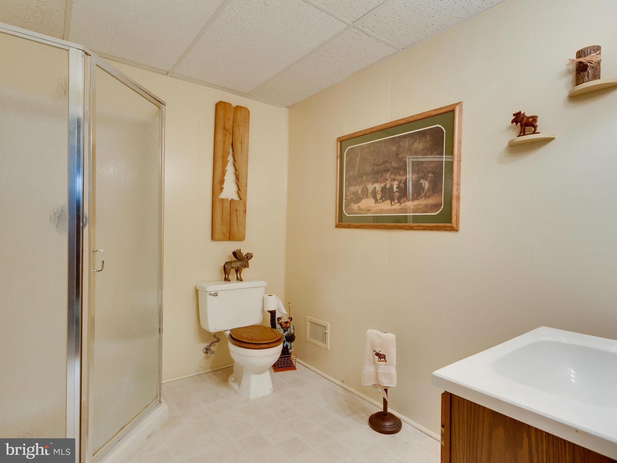 8141 Viola Street Springfield, VA 22152 - Photo 24 of 30 Bath
