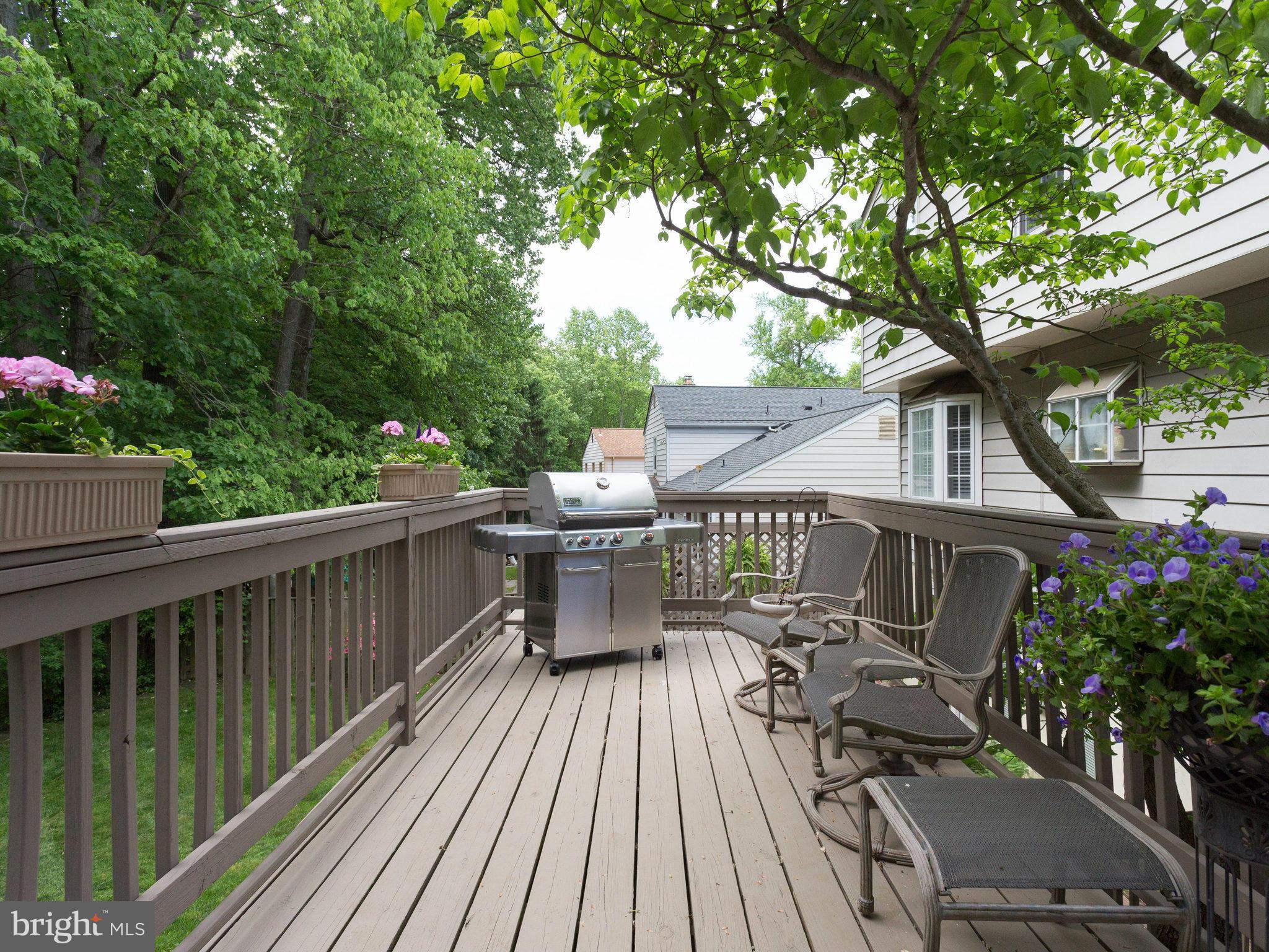 8141 Viola Street Springfield, VA 22152 - Photo 27 of 30 Exterior (Rear)