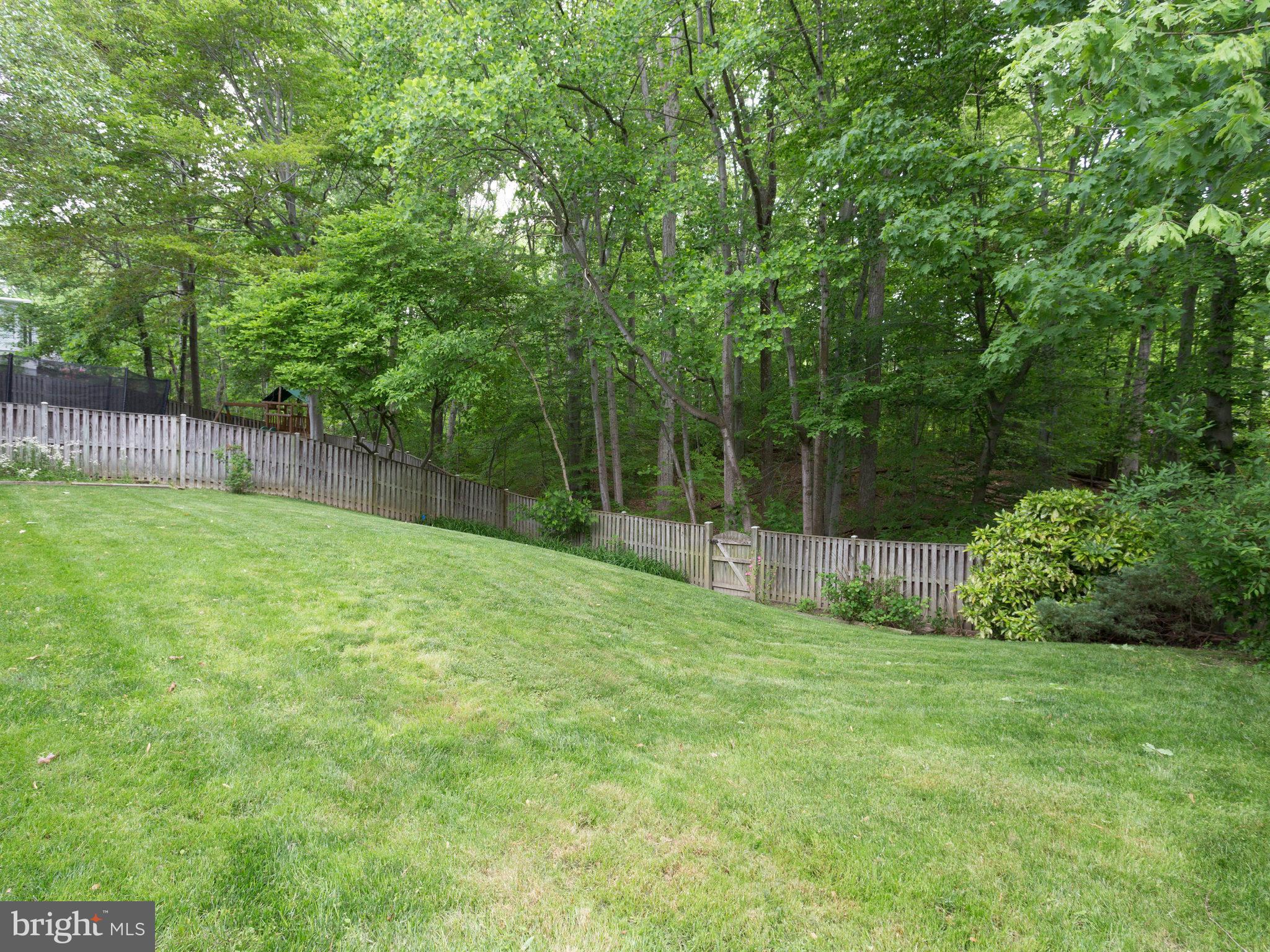 8141 Viola Street Springfield, VA 22152 - Photo 30 of 30 Exterior (Rear)