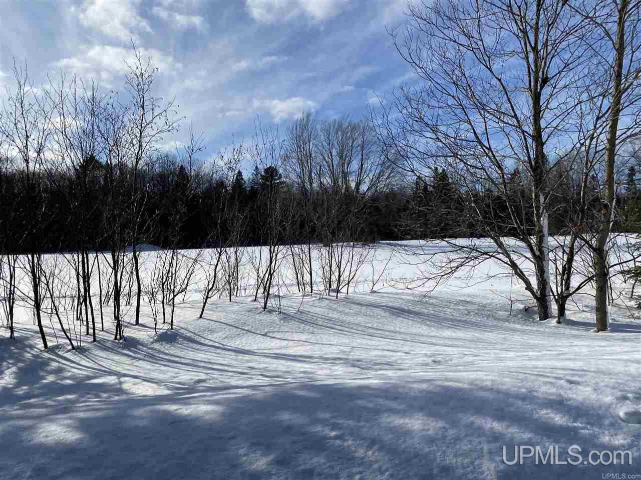 Tbd Halverson Road Skandia, MI 49885 - Photo 8 of 14