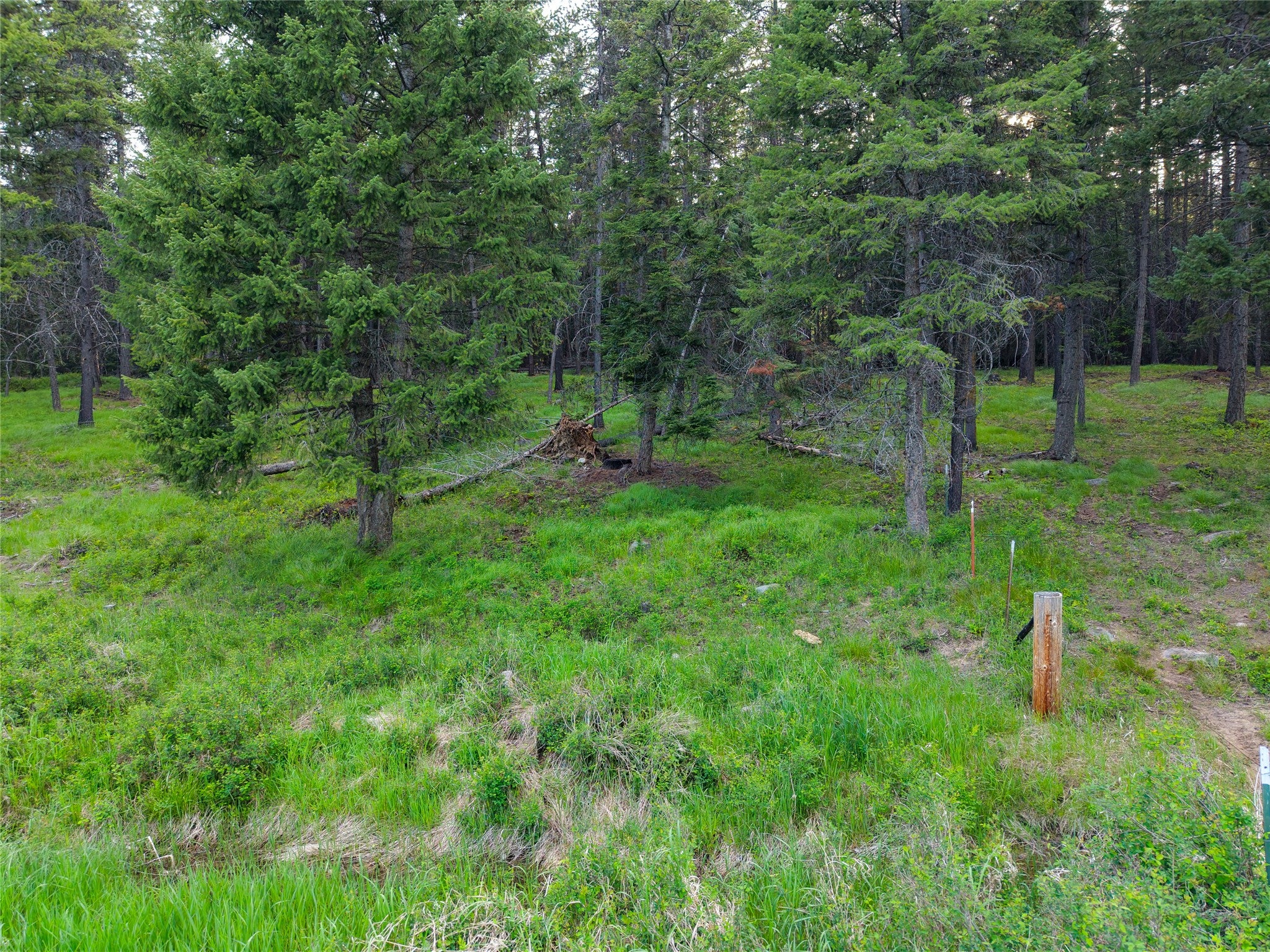 108 Bobtail Mdw Road Libby, MT 59923 - Photo 108 of 123 Gallery Image 108
