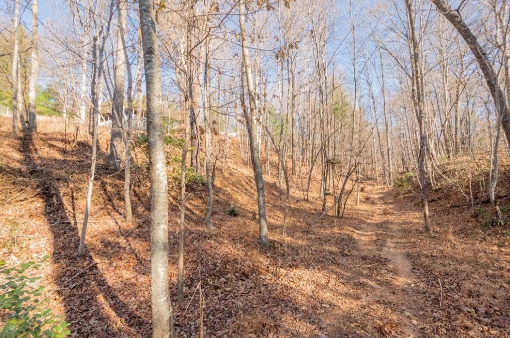 1297 Pole Bridge Road Stuart, VA 24171 - Photo 3 of 74 Gallery Image 3