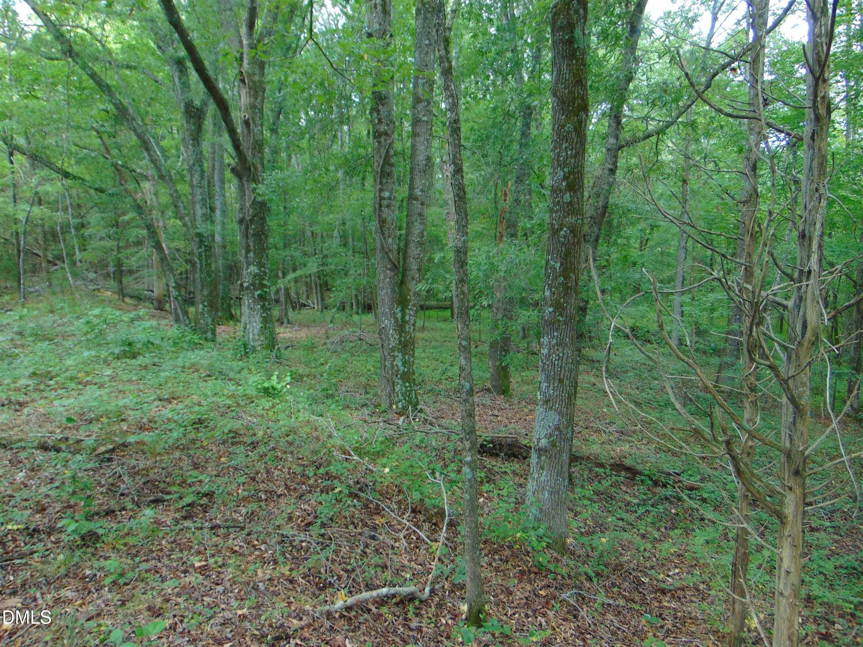 Lot 2 Caviness Jordan Road Cedar Grove, NC 27231 - Photo 9 of 11 10