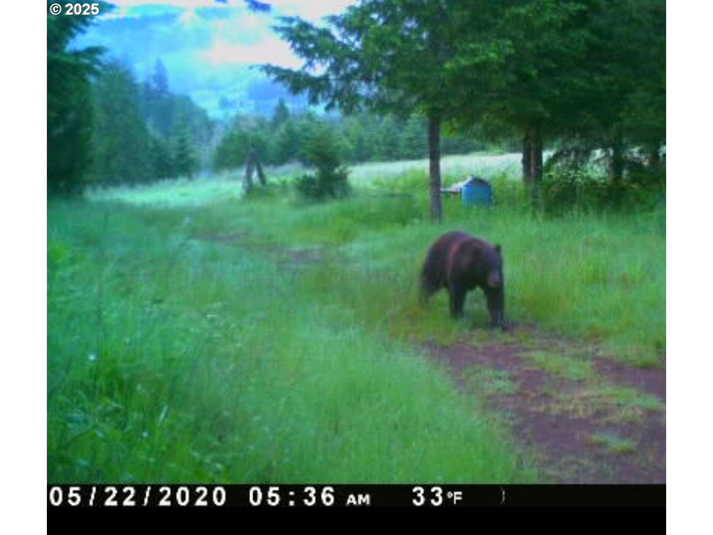 Kenady Lane Cottage Grove, OR 97424 - Photo 15 of 41 a view of a garden