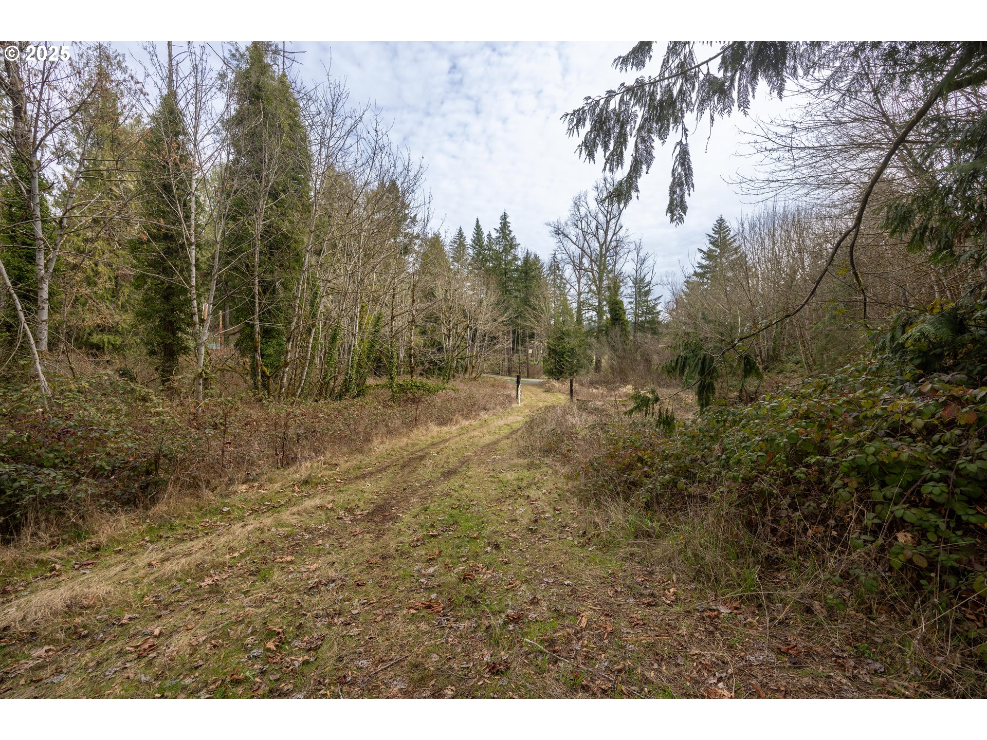 Kenady Lane Cottage Grove, OR 97424 - Photo 19 of 41 a view of a field with trees in the background