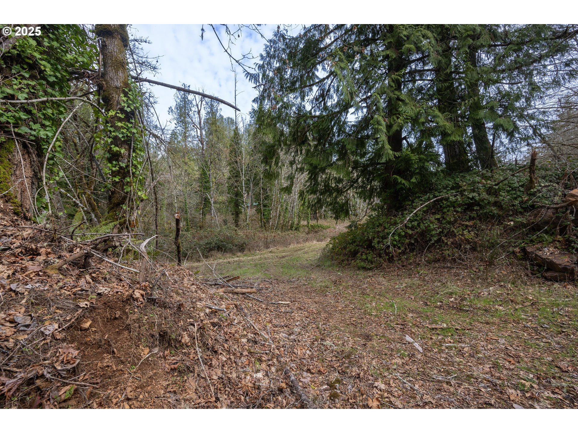 Kenady Lane Cottage Grove, OR 97424 - Photo 23 of 41 a view of a yard
