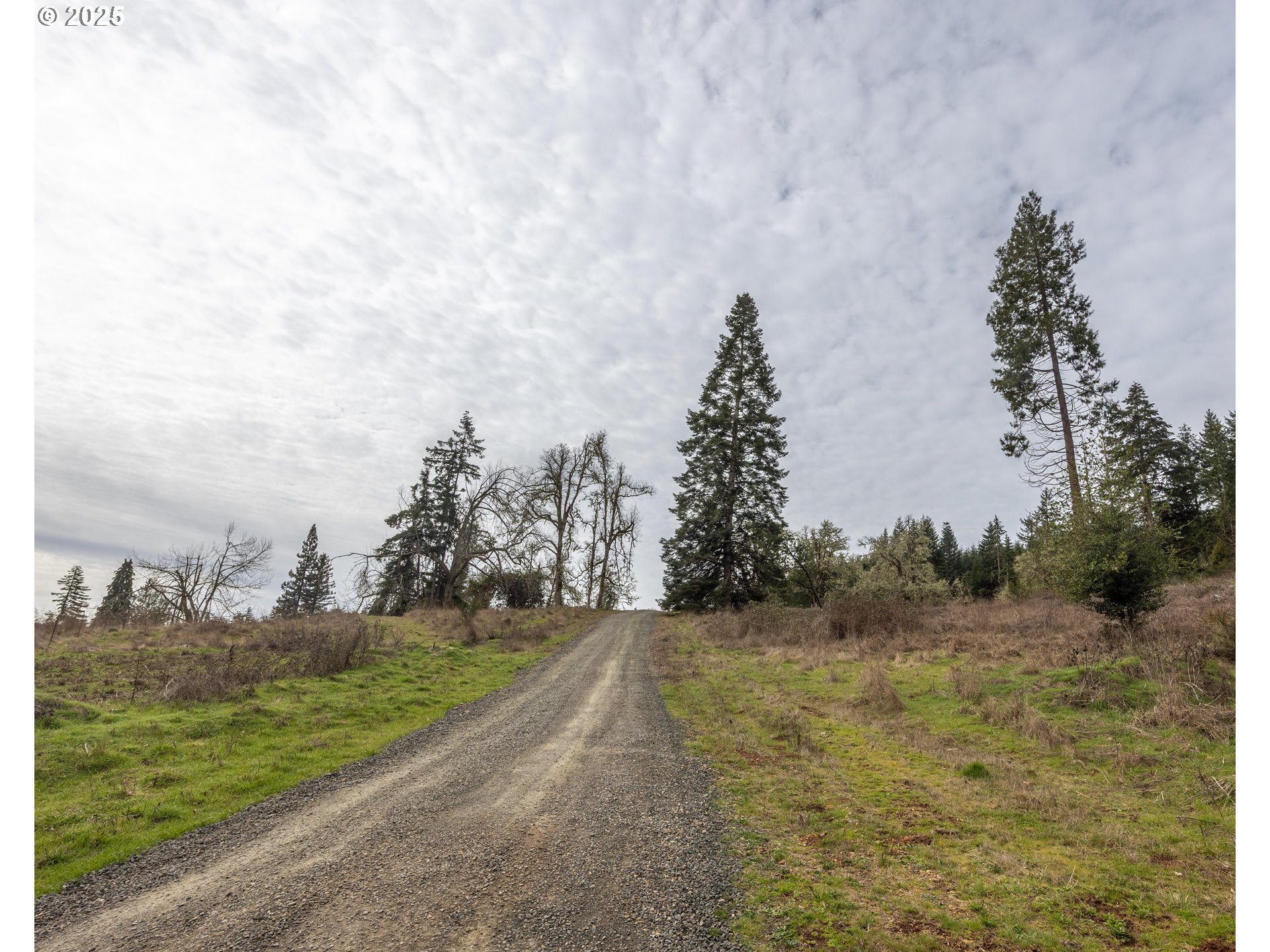 Kenady Lane Cottage Grove, OR 97424 - Photo 26 of 41 a view of a field with trees in background