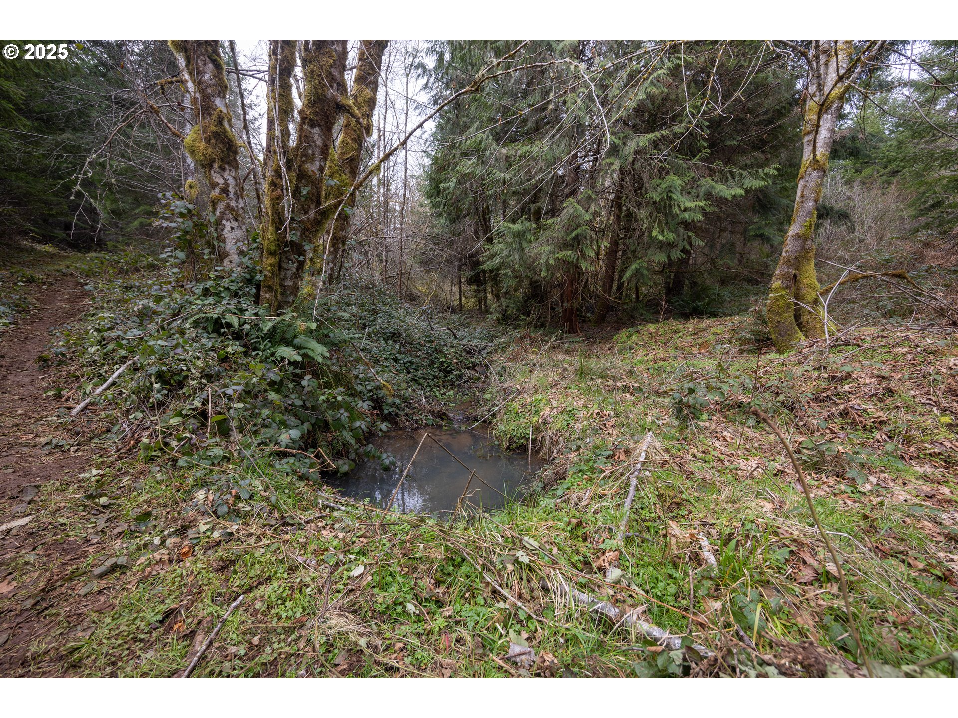 Kenady Lane Cottage Grove, OR 97424 - Photo 28 of 41 a view of a yard