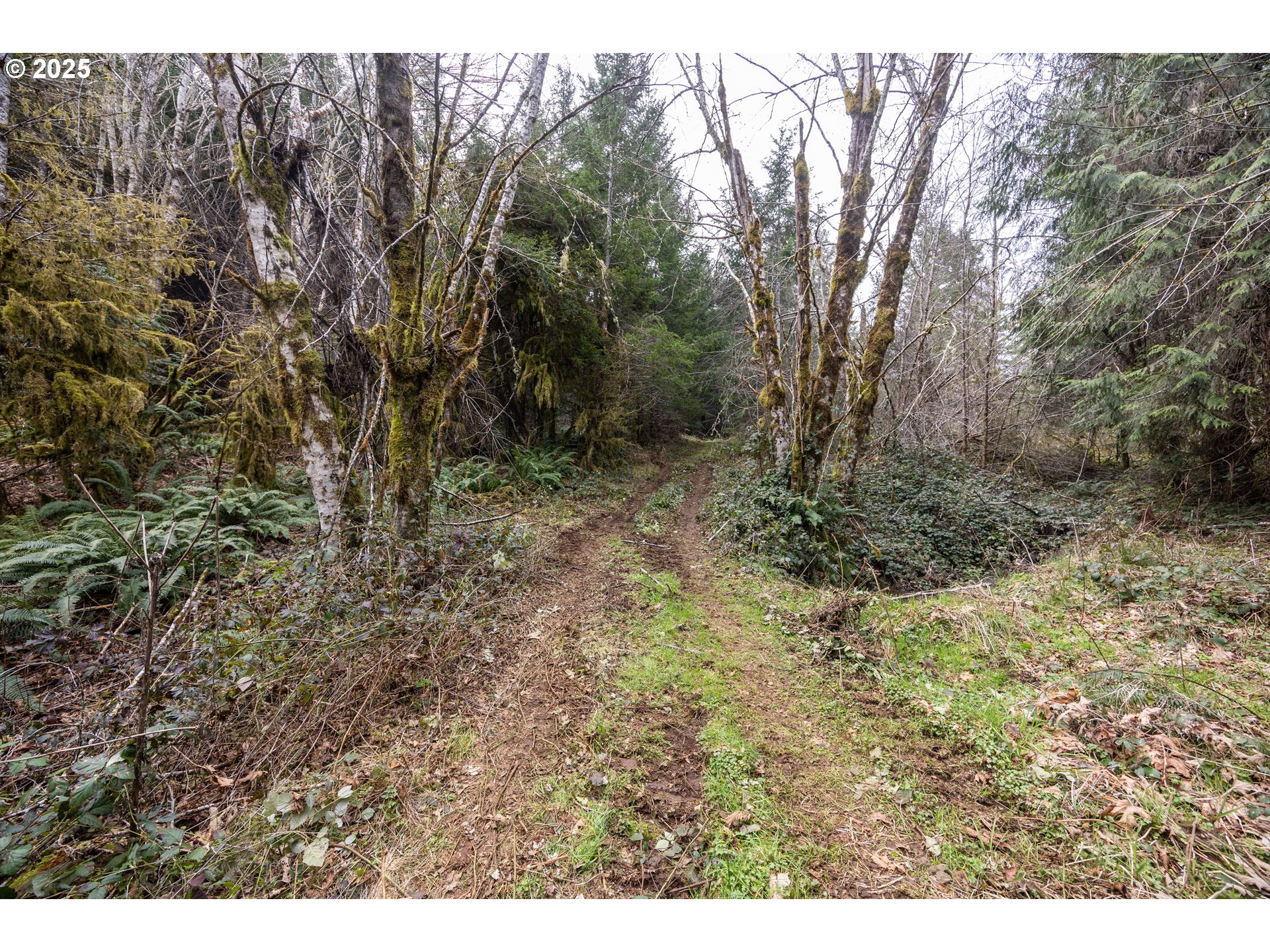 Kenady Lane Cottage Grove, OR 97424 - Photo 30 of 41