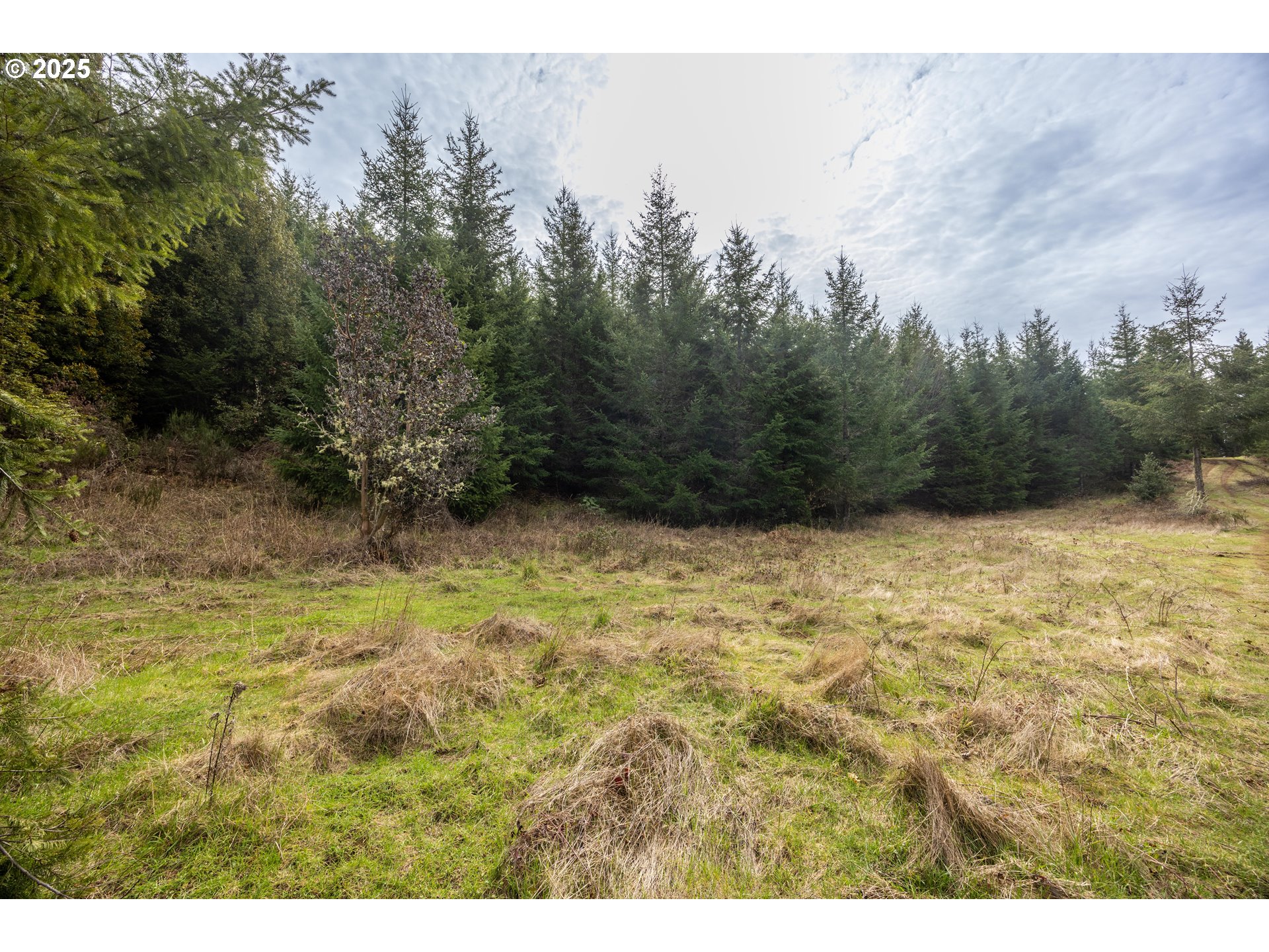 Kenady Lane Cottage Grove, OR 97424 - Photo 39 of 41 a view of backyard with green space