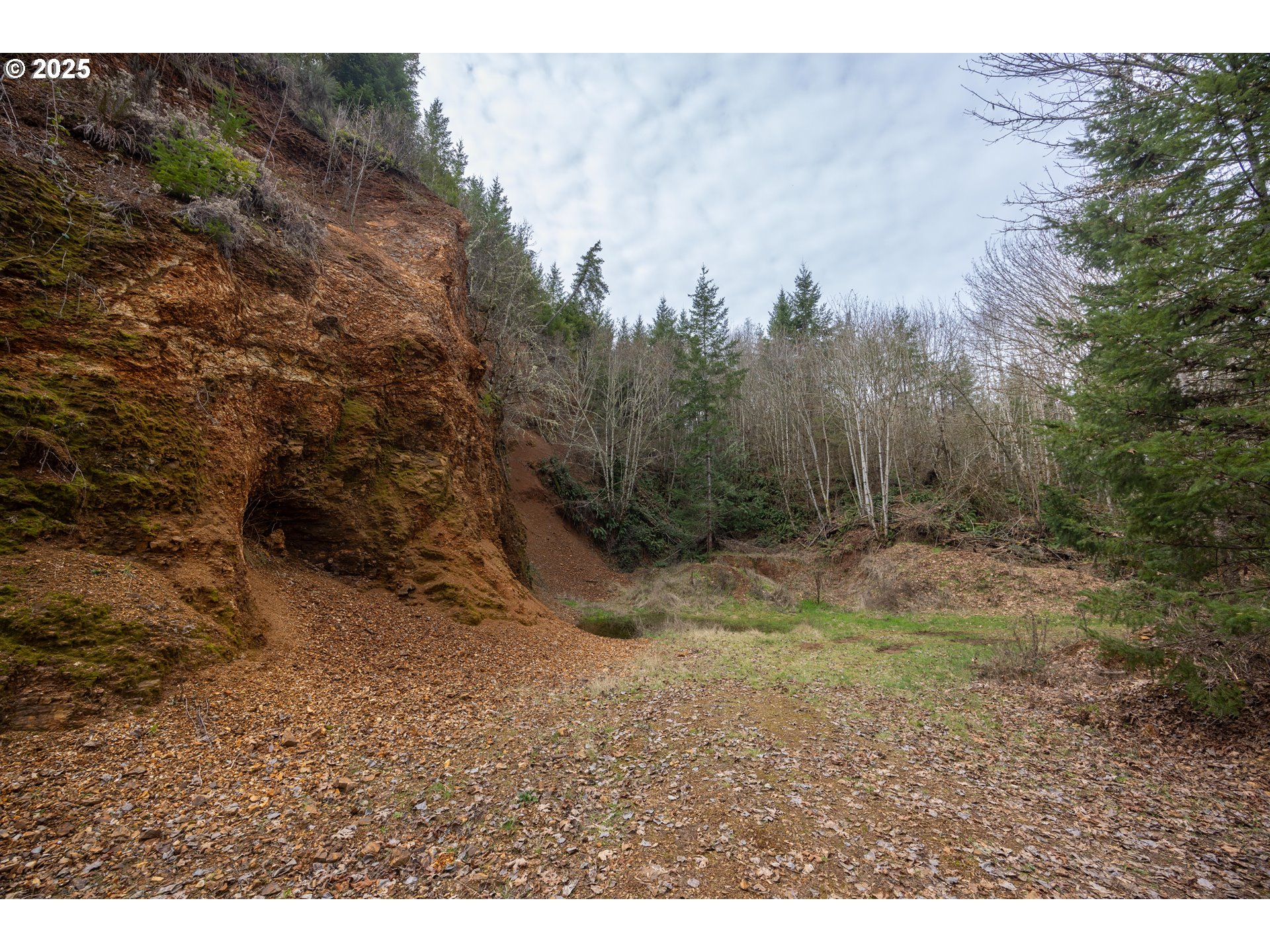 Kenady Lane Cottage Grove, OR 97424 - Photo 8 of 41 a view of a yard with a tree