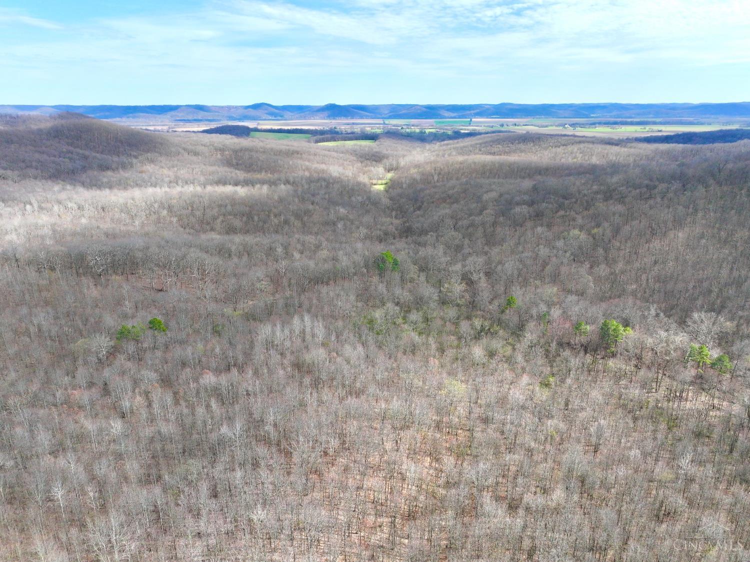 0 Fyffe Hollow Road Chillicothe, OH 45601 - Photo 29 of 96