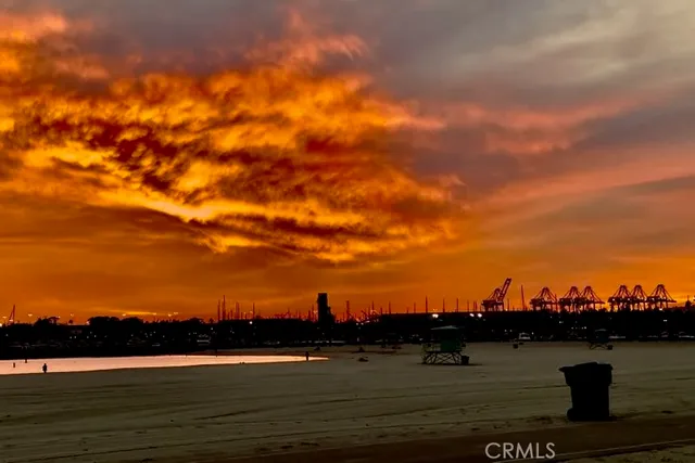 $4,800 | 1310 East Ocean Boulevard, Unit 1702, Long Beach, CA 90802