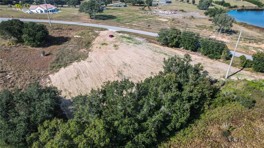 0 Cherry Lake Road Groveland, FL 34736 - Photo 11 of 18 a view of a yard with plants
