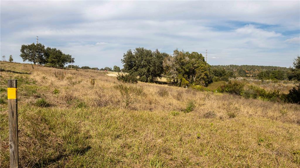 0 Cherry Lake Road Groveland, FL 34736 - Photo 12 of 18 a view of a bunch of mountains in background