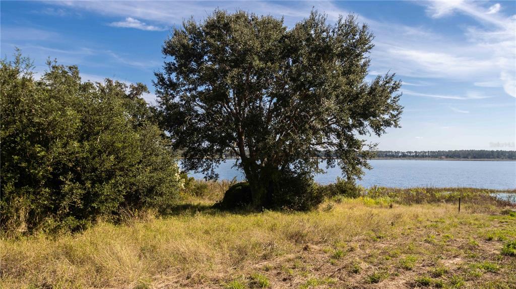 0 Cherry Lake Road Groveland, FL 34736 - Photo 13 of 18