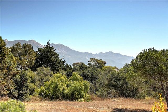 a view of a large tree with a mountain in the background