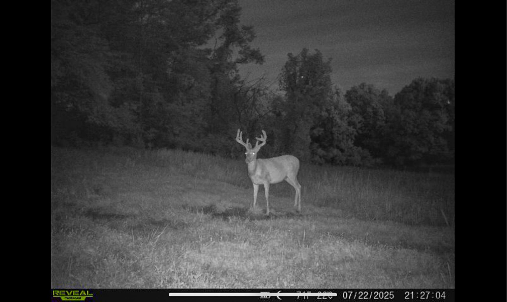 5230 Null Road Coolville, OH 45723 - Photo 40 of 54 Long fork rd.-76