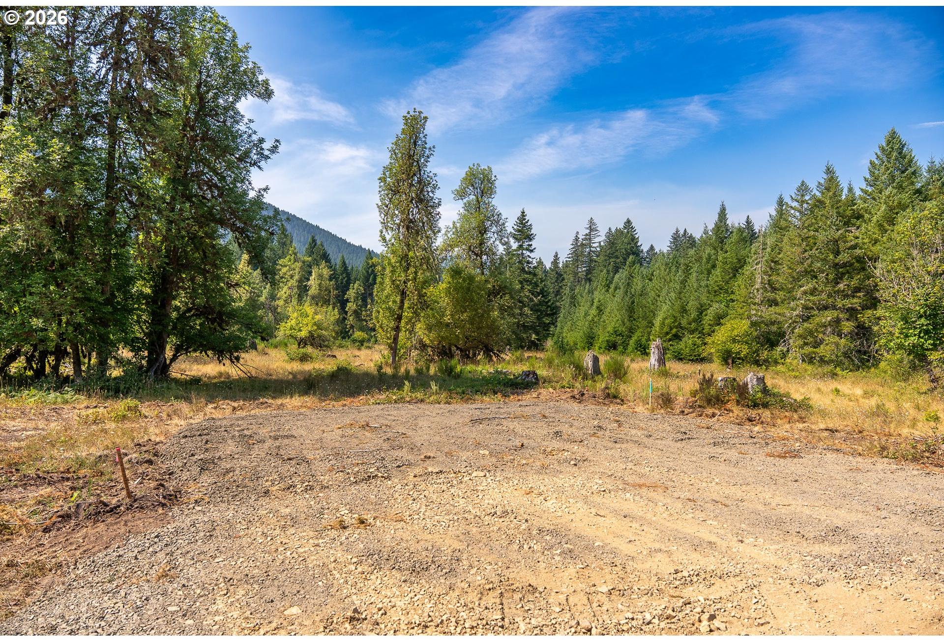 Hawk Meadows Road, Unit 6 Carson, WA 98610 - Photo 3 of 46 Gallery Image 3