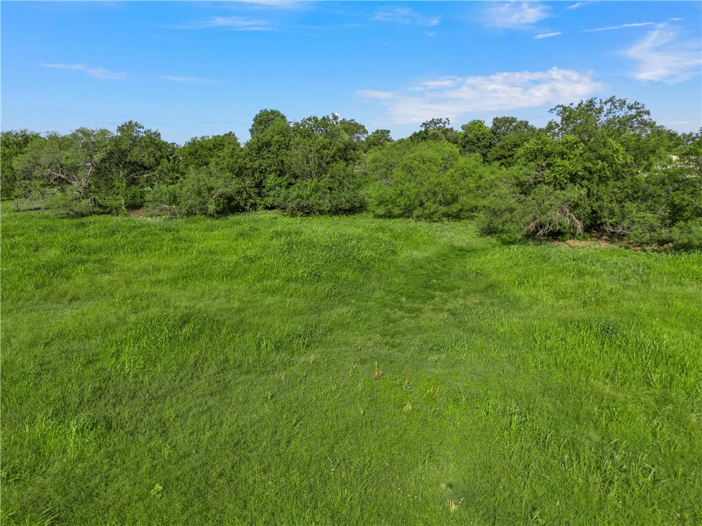 494 Quillian Trace Waco, TX 76705 - Photo 11 of 15