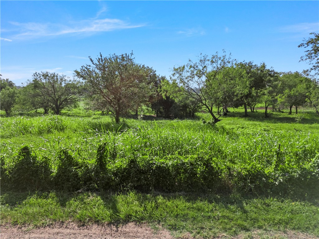 494 Quillian Trace Waco, TX 76705 - Photo 14 of 15