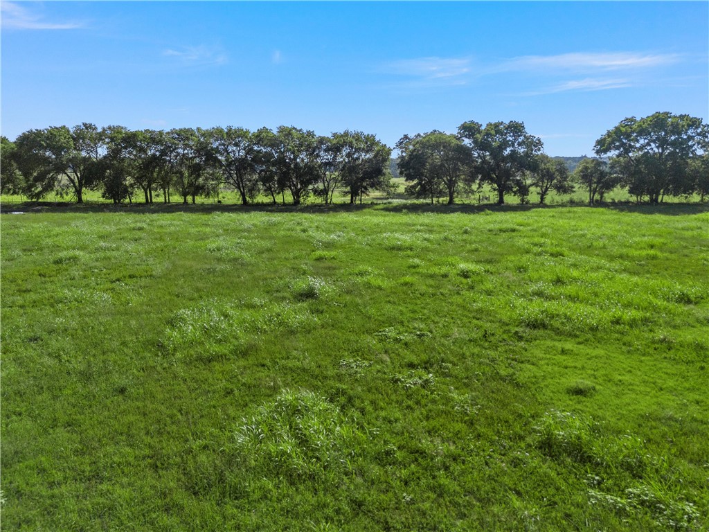 494 Quillian Trace Waco, TX 76705 - Photo 2 of 15