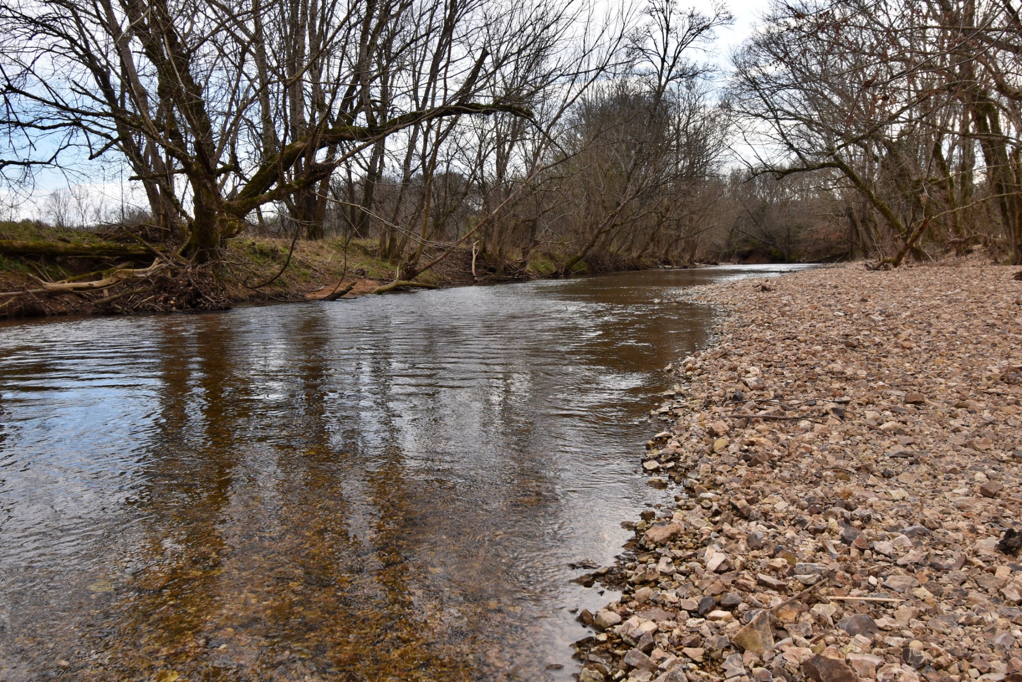 565 Cedar Creek Road Linden, TN 37096 - Photo 1 of 17