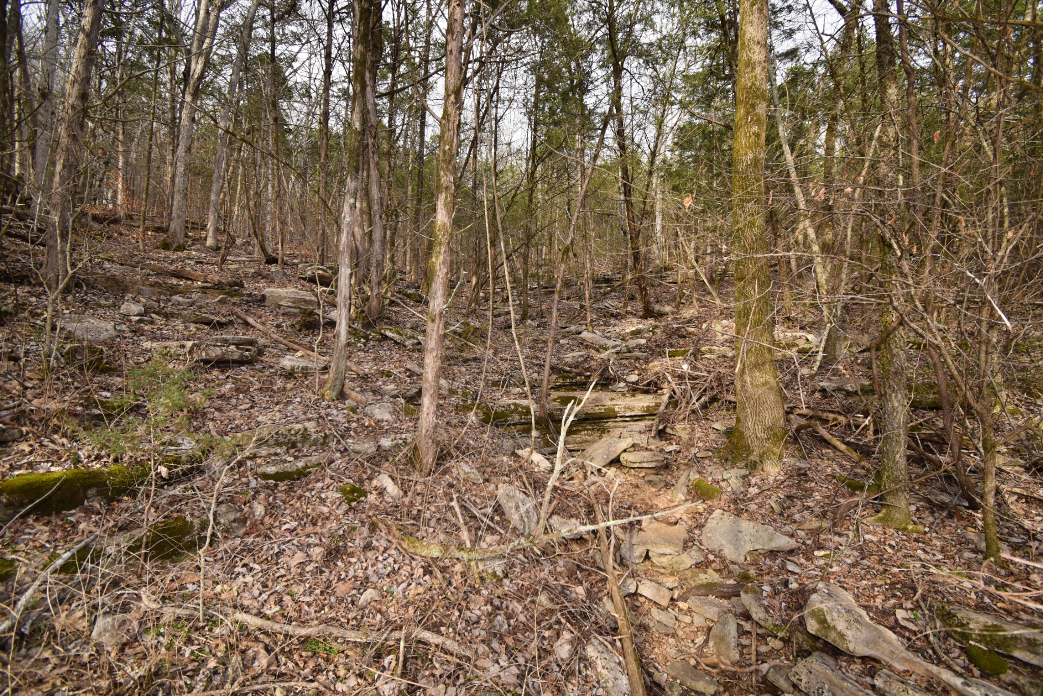 565 Cedar Creek Road Linden, TN 37096 - Photo 12 of 17