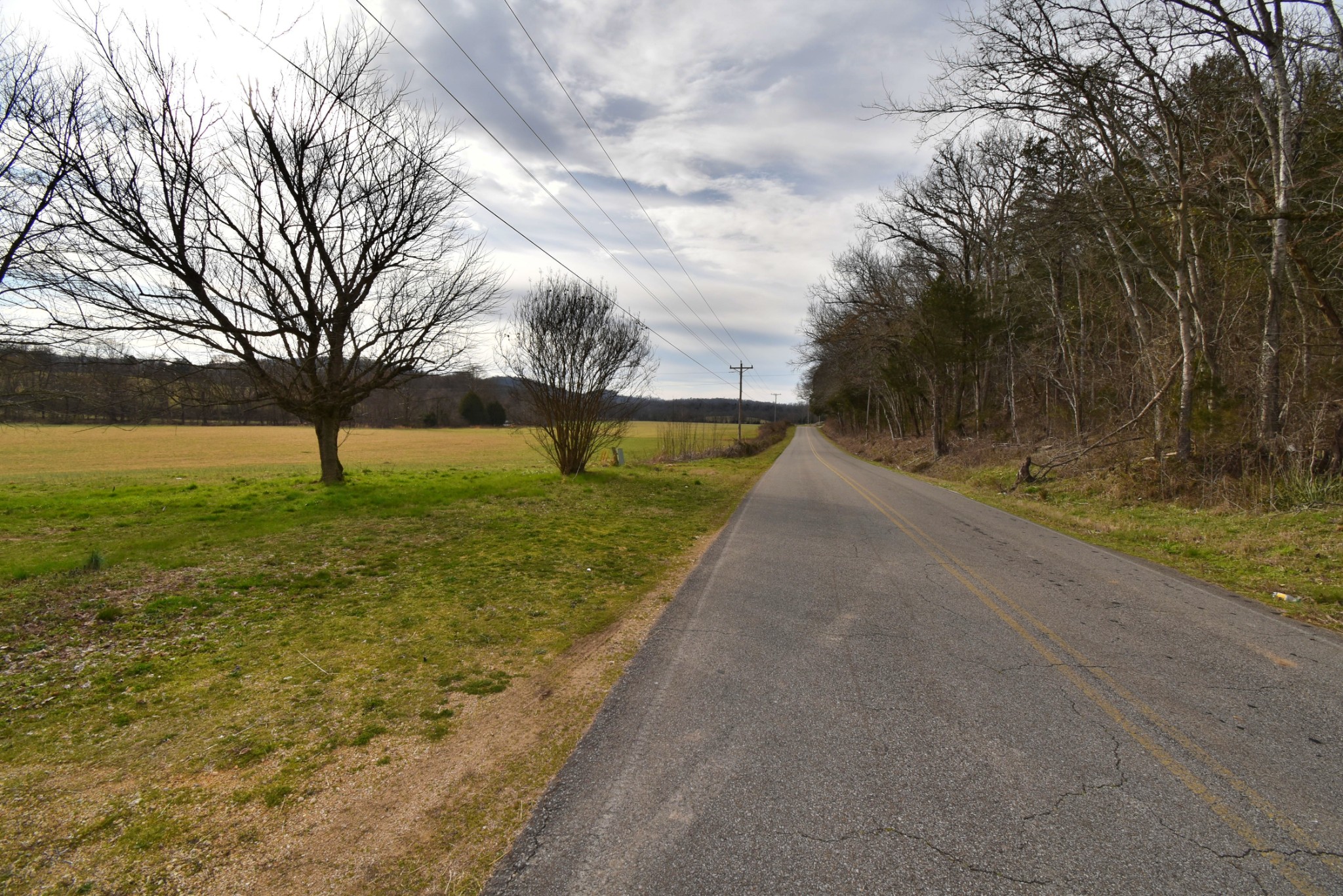 565 Cedar Creek Road Linden, TN 37096 - Photo 13 of 17