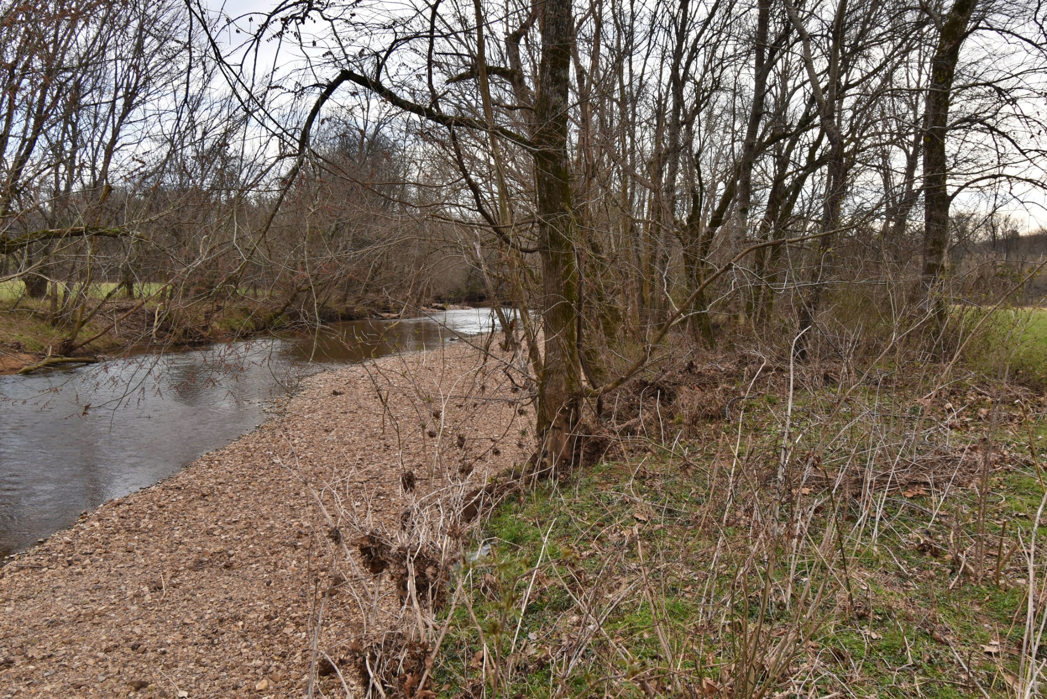 565 Cedar Creek Road Linden, TN 37096 - Photo 2 of 17
