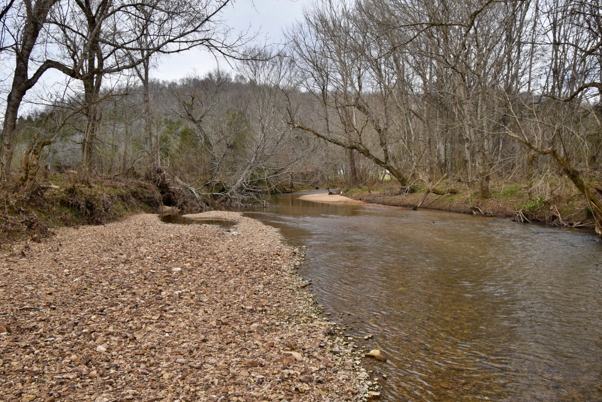 565 Cedar Creek Road Linden, TN 37096 - Photo 3 of 17