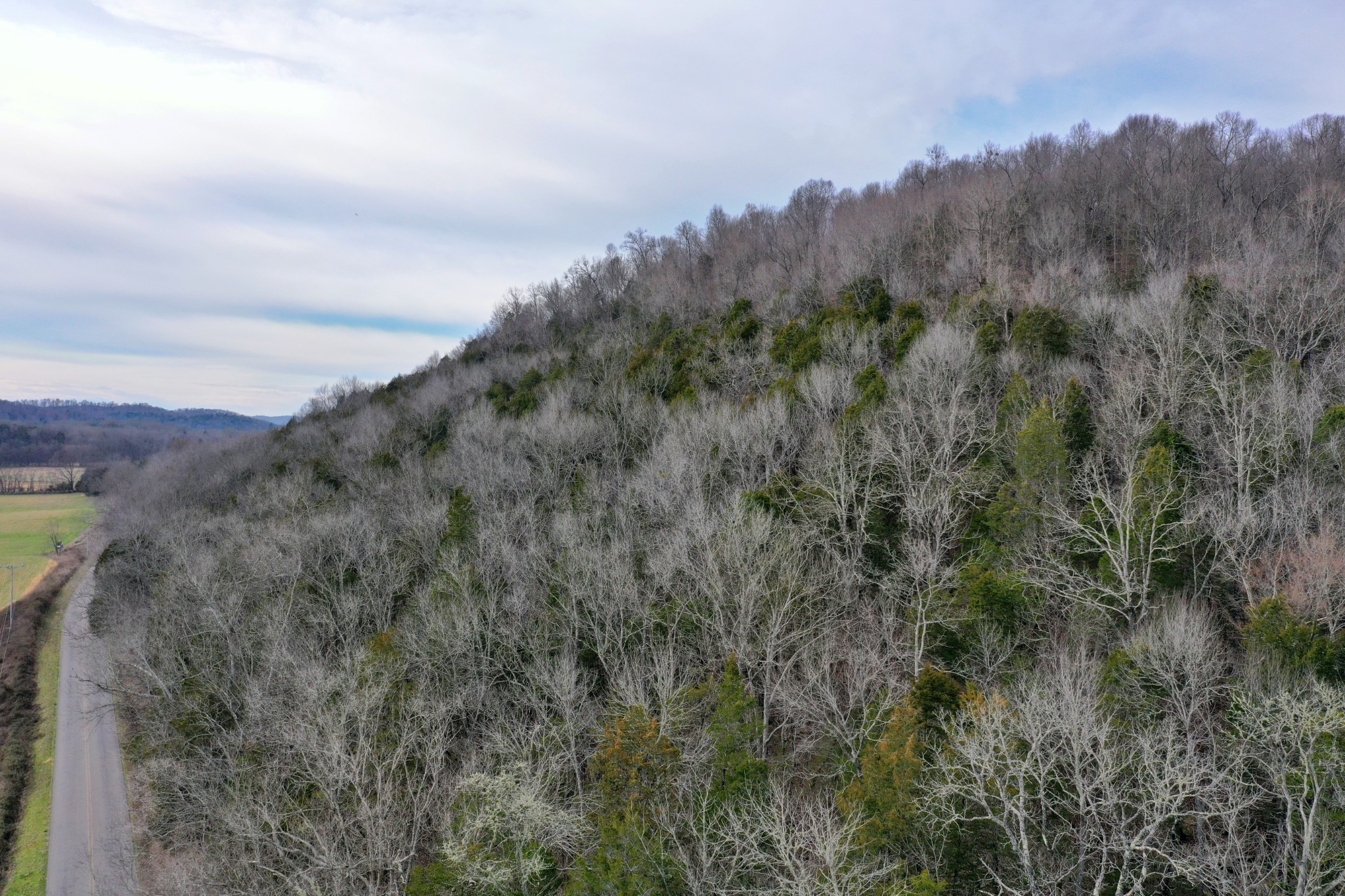 565 Cedar Creek Road Linden, TN 37096 - Photo 5 of 17