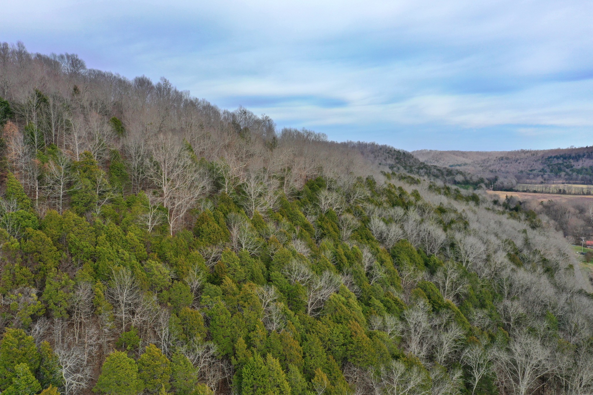 565 Cedar Creek Road Linden, TN 37096 - Photo 6 of 17