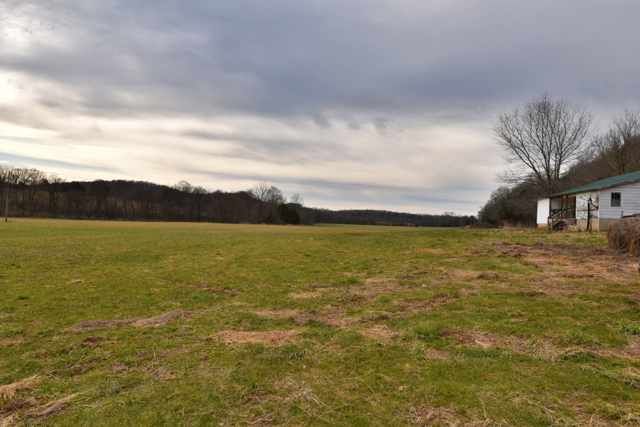 565 Cedar Creek Road Linden, TN 37096 - Photo 8 of 17