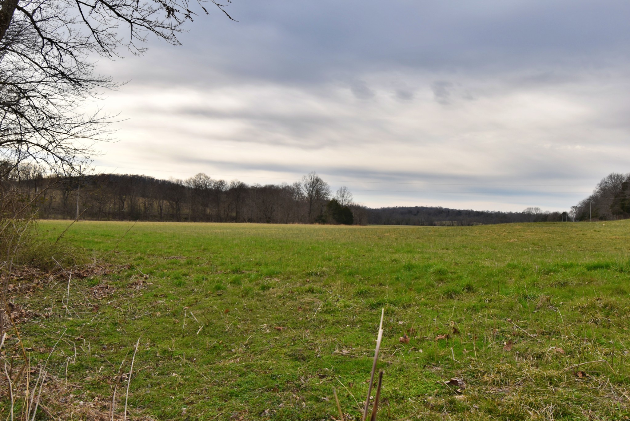 565 Cedar Creek Road Linden, TN 37096 - Photo 9 of 17