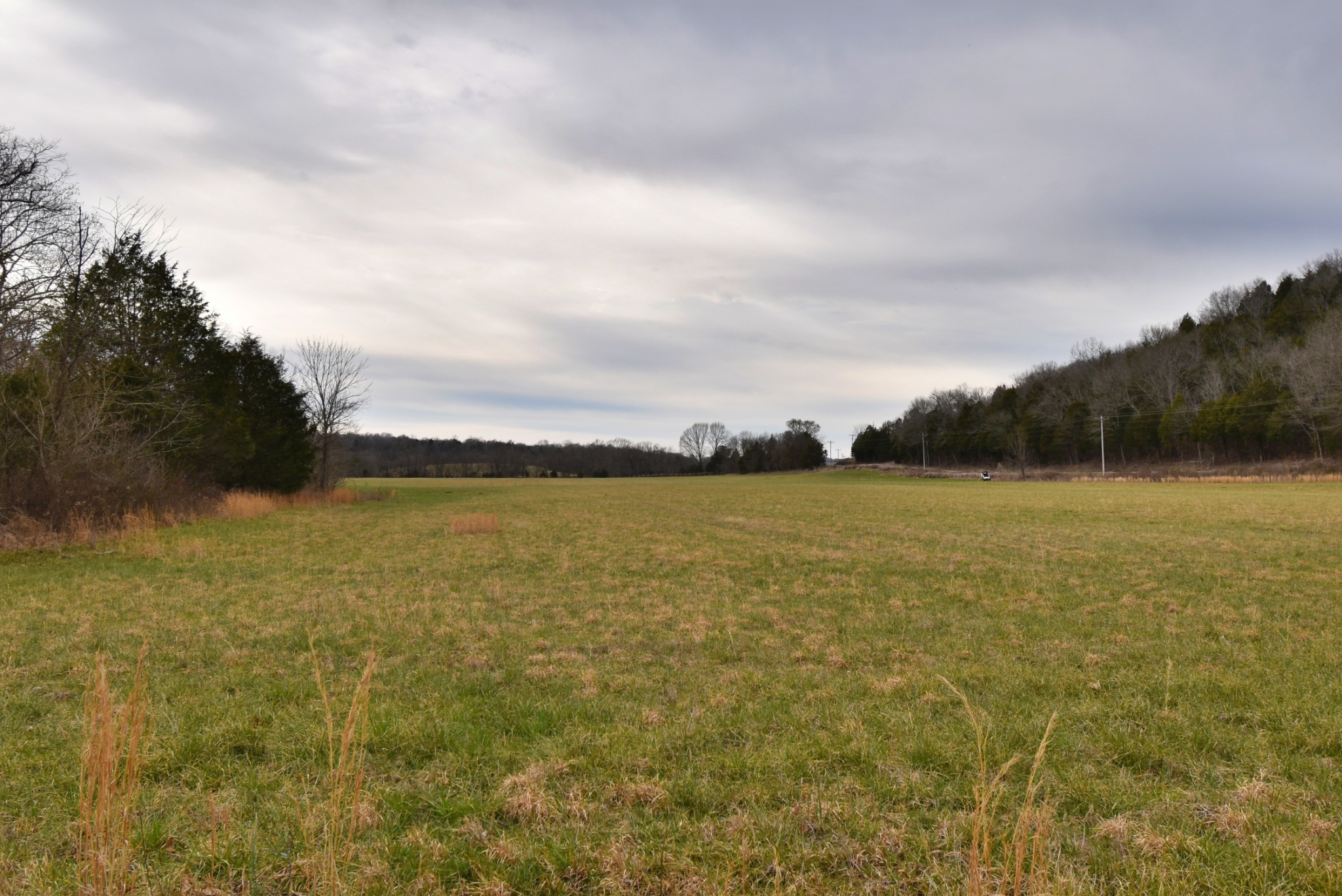 565 Cedar Creek Road Linden, TN 37096 - Photo 10 of 17