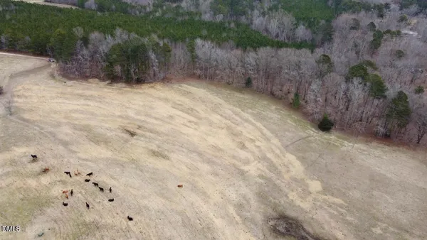a view of a yard with a plants