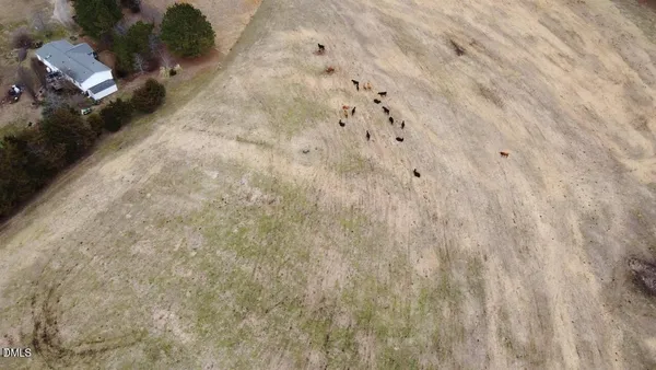 a view of a yard with trees